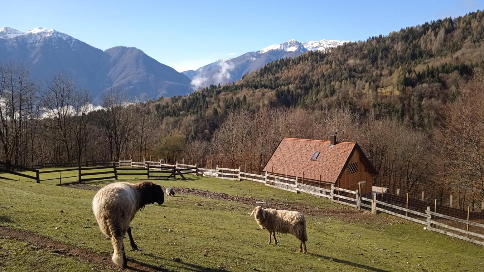 Chalet Navauce Raveo Esterno foto